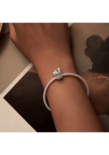 Pendant Charm Tavşan Yumurta Kadınlar Için Karşılaştırılmış Farklı Bileklikler ve Kolye 925 Gümüş (Yurt Dışından) fırsatları