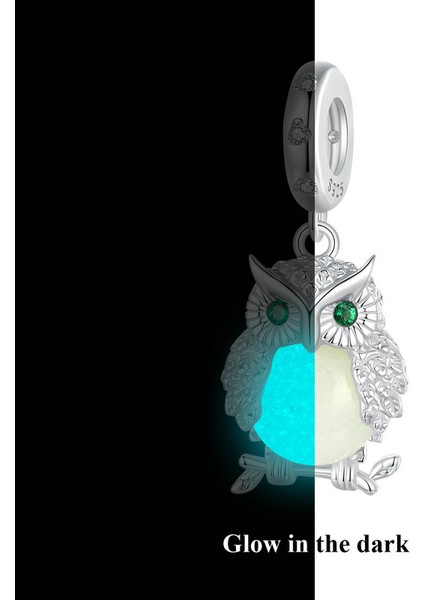 Pendant Charm Açık Buğun Kadınlar Için Karşılaştırılmış Farklı Bileklikler ve Kolye 925 Gümüş (Yurt Dışından)