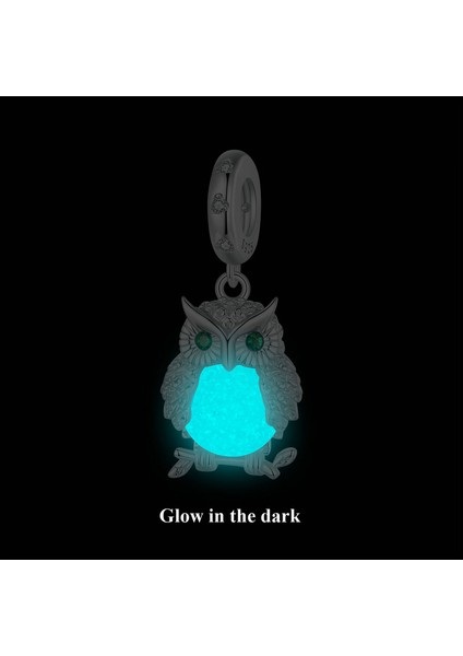 Pendant Charm Açık Buğun Kadınlar Için Karşılaştırılmış Farklı Bileklikler ve Kolye 925 Gümüş (Yurt Dışından)