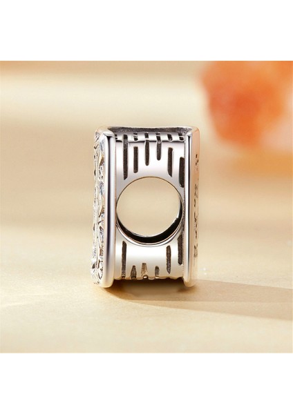 Pendant Charm Incil Kadınlar Için Karşılaştırılmış Farklı Bileklikler ve Kolye 925 Gümüş (Yurt Dışından)