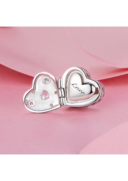 Pendant Charm Kalp Şekilli Tahlike Kutusu Kadınlar Için Karşılaştırılmış Farklı Bileklikler ve Kolye 925 Gümüş (Yurt Dışından)