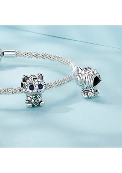Pendant Charm Raccoon Kadınlar Için Karşılaştırılmış Farklı Bileklikler ve Kolye 925 Gümüş (Yurt Dışından)