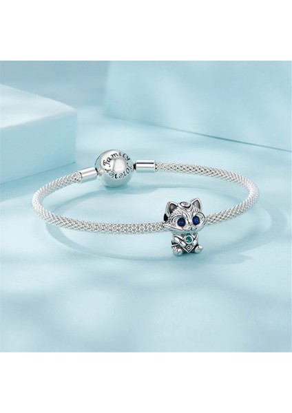 Pendant Charm Raccoon Kadınlar Için Karşılaştırılmış Farklı Bileklikler ve Kolye 925 Gümüş (Yurt Dışından)