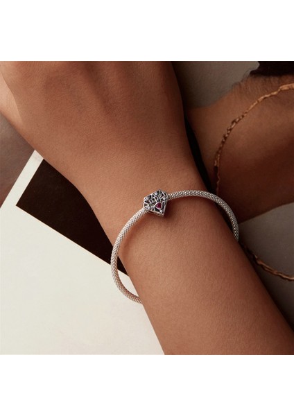 Pendant Charm Supermom Kadınlar Için Karşılaştırılmış Farklı Bileklikler ve Kolye 925 Gümüş (Yurt Dışından) fırsatları