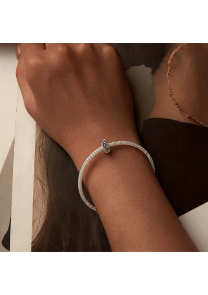 Pendant Charm Rose Stopper Beads Kadınlar Için Karşılaştırılmış Farklı Bileklikler ve Kolye 925 Gümüş (Yurt Dışından) fırsatları