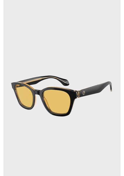 Parlak Güneş Gözlük Erkek Gözlük 0AR8207 608485 50