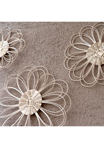 3 Parça Rattan El Yapımı Duvar Ve Bahçe Süsü