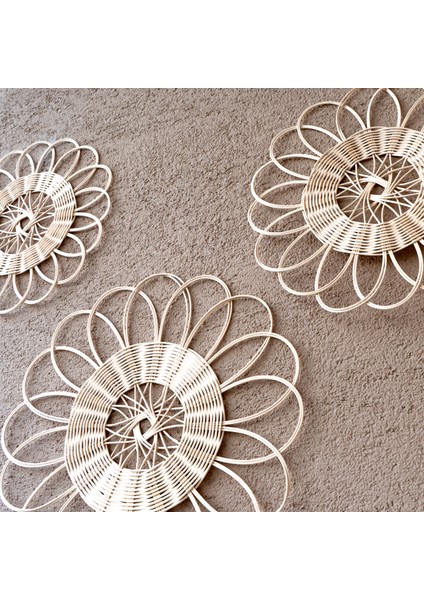 3 Parça Rattan El Yapımı Duvar Ve Bahçe Süsü
