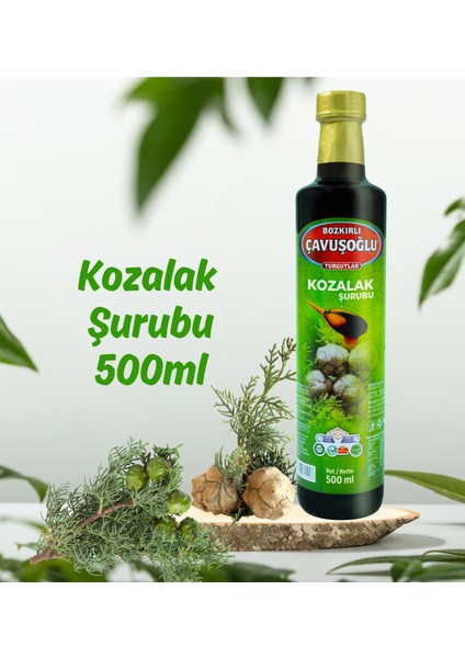 Bozkırlı Çavuşoğlu Kozalak Şurubu 650G x 2