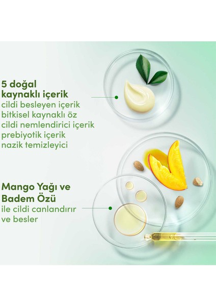 Nemlendirici Duş Jeli Mango Yağı & Badem Özü 450 ml x1 Adet