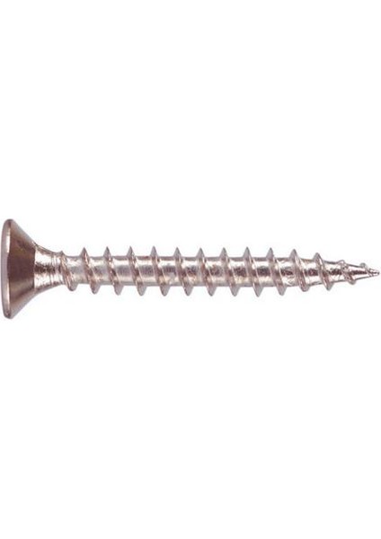 Sunta Vidası Galvanizli 6X100 mm 100 Adet