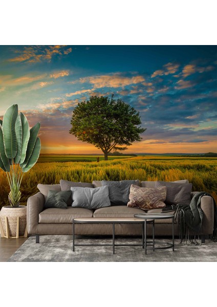 Bulut Ağaç Gündoğumu Manzaralı Duvar Kağıdı Baskı