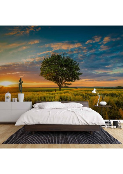 Bulut Ağaç Gündoğumu Manzaralı Duvar Kağıdı Baskı fiyatları