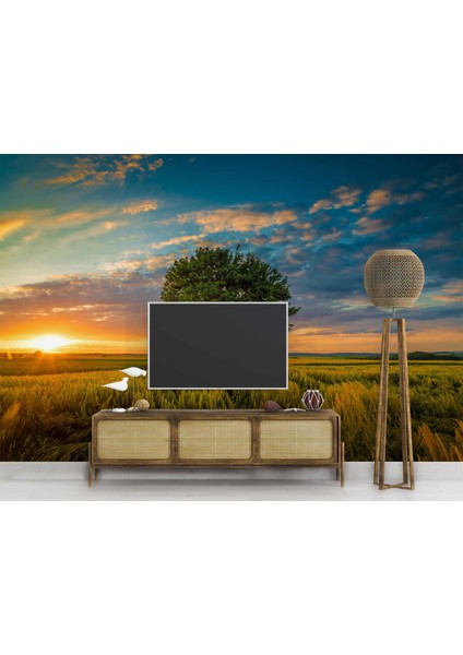 Bulut Ağaç Gündoğumu Manzaralı Duvar Kağıdı Baskı modelleri