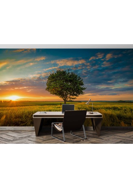 Bulut Ağaç Gündoğumu Manzaralı Duvar Kağıdı Baskı fırsatları