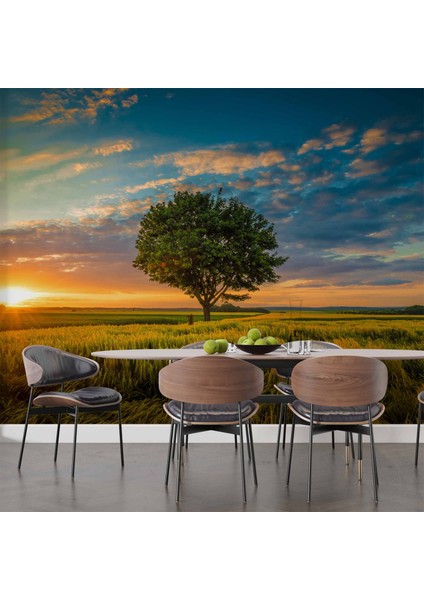Bulut Ağaç Gündoğumu Manzaralı Duvar Kağıdı Baskı indirimleri