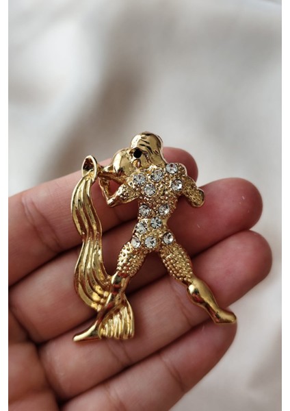 Aquarius Yenilikçi Kova Broşu