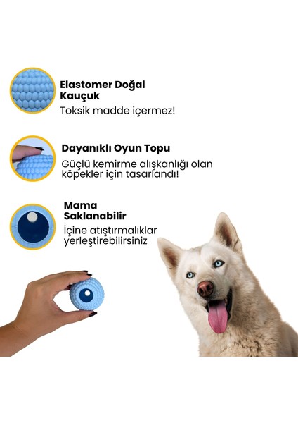 Doğal Kauçuk Köpek Isırma Topu Açık Mavi Renkli Içine Ödül Maması Saklanabilen Köpek Oyuncağı Toksik Madde Içermez