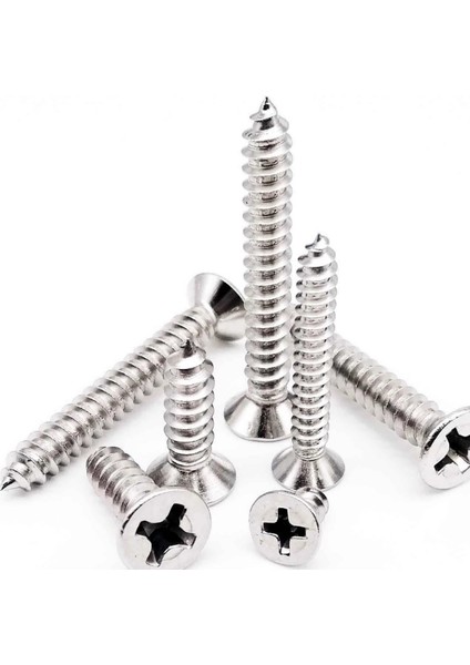 Sunta vidası Galvanizli 3,5x20 Mm 500 Adet