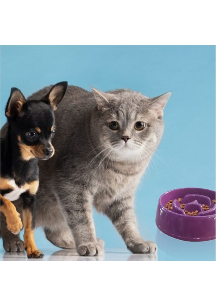 Az Yavaş Yeme Yediren Küçük 175 cc Obez Kedi Köpek Evcil Hayvan Mama Yem Kabı Kasesi Çanağı Kutusu