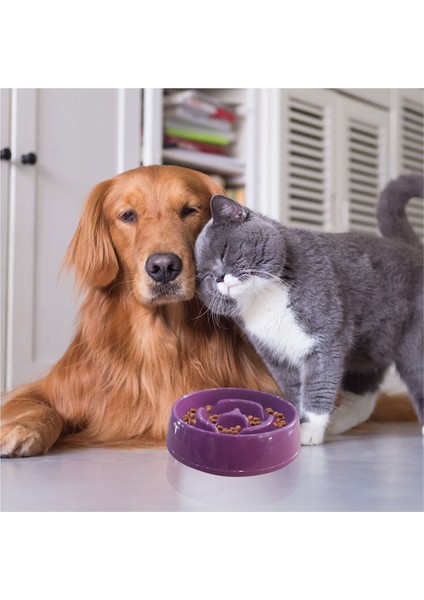 Az Yavaş Yeme Yediren Küçük 175 cc Obez Kedi Köpek Evcil Hayvan Mama Yem Kabı Kasesi Çanağı Kutusu