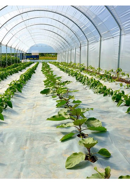 Sera Naylonu 10x23 mt Sera Uzun Ömürlü Koruma: 140 Mikron UV + EVA Katkılı Şeffaf Naylon Örtü