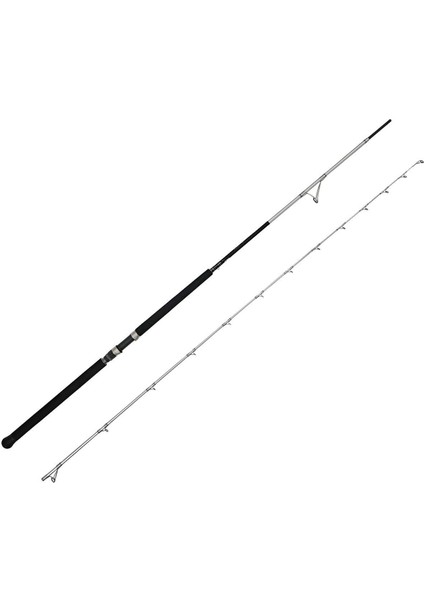 Azores Shore Jigging Spin 304CM 40-100GR 2 Parça Olta Kamışı