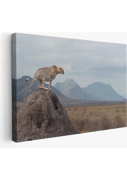 Leopar Dekoratif Kanvas Tablo -1127
