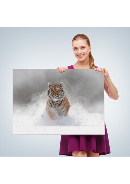 Karda Koşan Yavru Kaplan Dekoratif Kanvas Tablo 1135 fırsatları