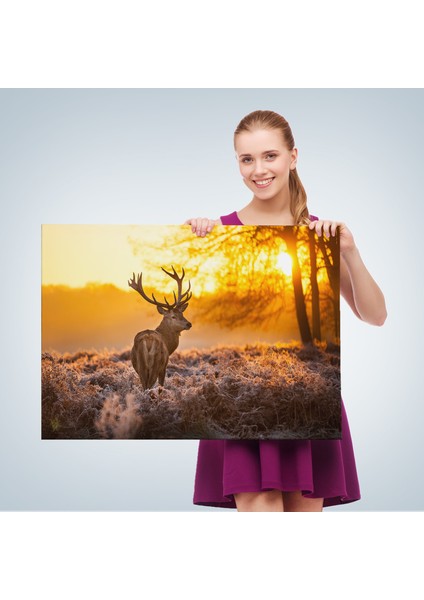 Geyik Gün Batımı Dekoratif Kanvas Tablo 1120 fırsatları