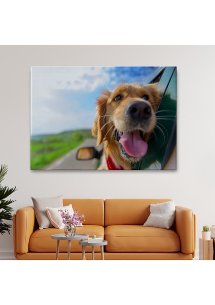 Köpek Dekoratif Kanvas Tablo 1130 fiyatları