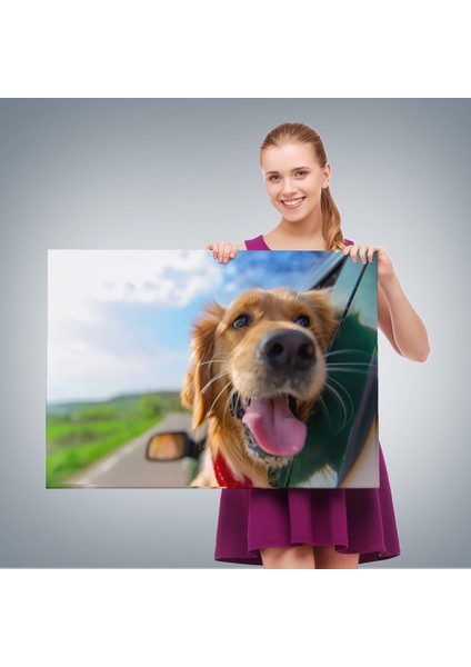 Köpek Dekoratif Kanvas Tablo 1130 fırsatları