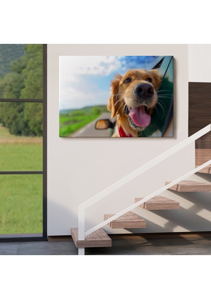 Köpek Dekoratif Kanvas Tablo 1130 indirimleri