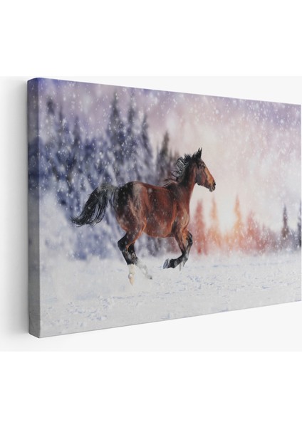 Karda Koşan At Dekoratif Kanvas Tablo 1133
