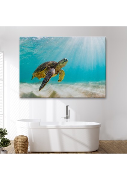 Caretta Caretta Dekoratif Kanvas Tablo 1174 fiyatları