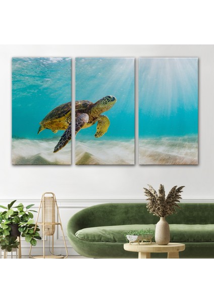 Caretta Caretta Dekoratif Kanvas Tablo 1174 modelleri