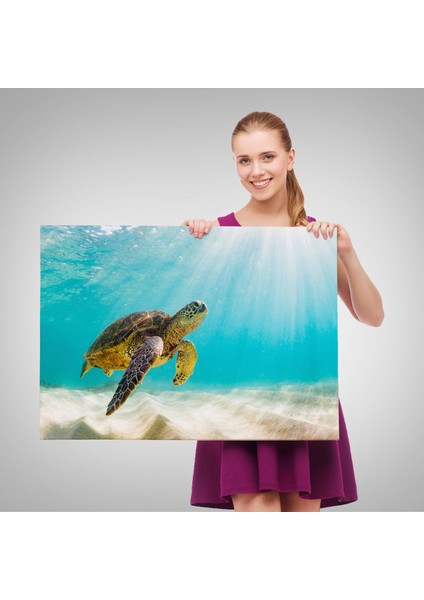 Caretta Caretta Dekoratif Kanvas Tablo 1174 fırsatları