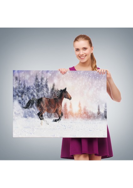 Karda Koşan At Dekoratif Kanvas Tablo 1133 fırsatları