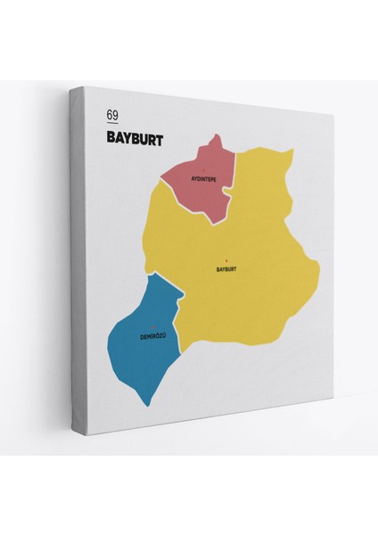Bayburt Ili ve Ilçeler Haritası Dekoratif Kanvas Tablo 1289