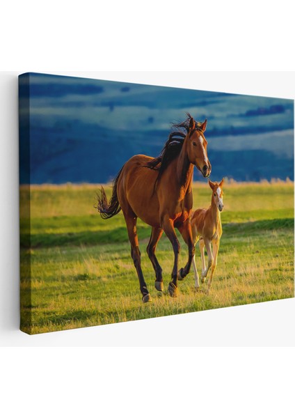 At ve Tay Manzaralı Dekoratif Kanvas Tablo 1173