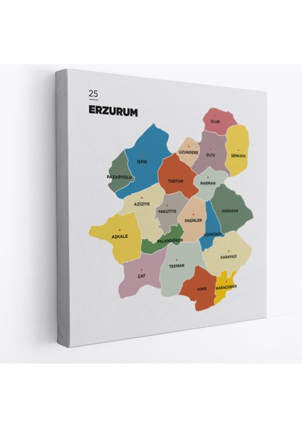 Erzurum Ili ve Ilçeler Haritası Dekoratif Kanvas Tablo 1337