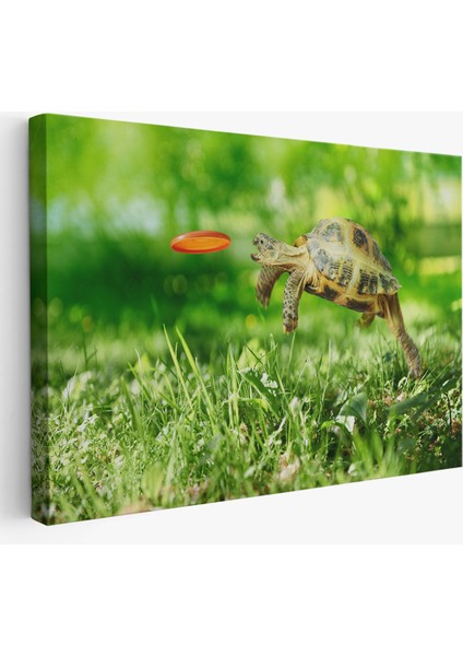 Uçan Kaplunbağa Dekoratif Kanvas Tablo 1122