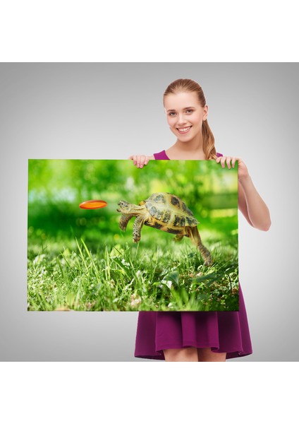 Uçan Kaplunbağa Dekoratif Kanvas Tablo 1122 fırsatları