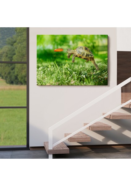 Uçan Kaplunbağa Dekoratif Kanvas Tablo 1122 indirimleri