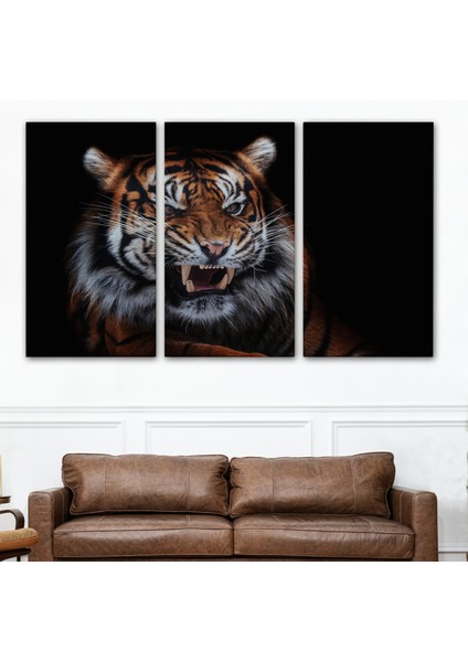 Kaplan Dekoratif Kanvas Tablo 1156 modelleri