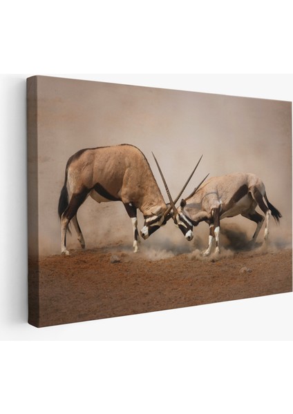 Antilob Dekoratif Kanvas TABLO-1117