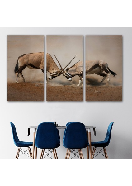 Antilob Dekoratif Kanvas TABLO-1117 modelleri
