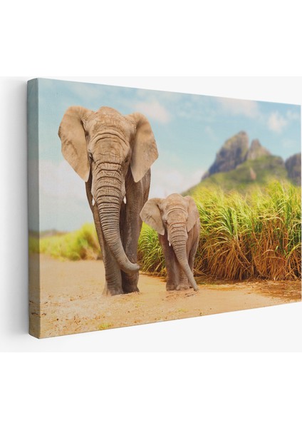 Fil ve Yavrusu Dekoratif Kanvas Tablo 1144