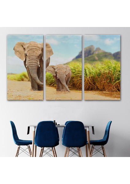 Fil ve Yavrusu Dekoratif Kanvas Tablo 1144 modelleri