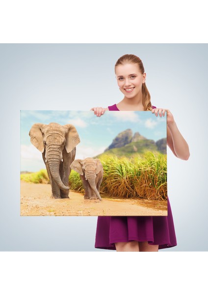 Fil ve Yavrusu Dekoratif Kanvas Tablo 1144 fırsatları